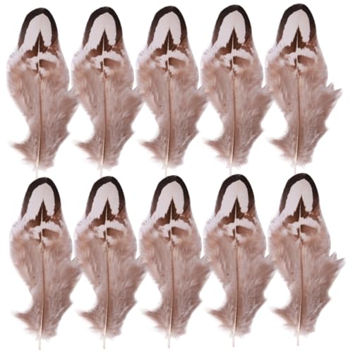 Angoily 50 Stück Feder Fälschung Zubehör für Deko-Accessoire DIY - Bastelzubehör hochzeitsdeko Wedding Decoration diehüte Haushalt tischlampe tägliche Heimdekoration von Angoily