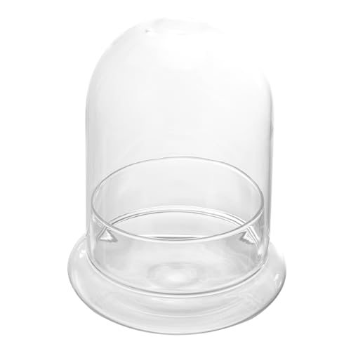 Angoily Cloche Dome for Plants- Dekorative Glasglocke mit Sockel- Klarglas Glocke Glas für Pflanzen Kerzen Skulptur Figur (15,2 cm Höhe) von Angoily