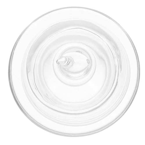 Angoily Glas Tintenhalter mit Glasglocke Luftdichter Deckel Multifunktionales Traditionelles Tintenfach für Kalligrafie und Chinesische Malerei Eleganter Aufbewahrungsteller für Zuhause von Angoily