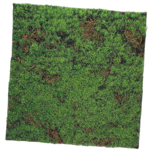 Angoily Kunstmoos Rasenteppiche Outdoor Teppiche Teppich Kunstrasenfliesen Kunstrasen Fußmatte Kunstrasen Rasenpflaster Kunstmoosmatte Moosteppich Kunstrasenmatte Grüner Angoily Kunstmoos Rasenteppiche Outdoor Teppiche Teppich Kunstrasenfliesen Kunstrasen Fußmatte Kunstrasen Rasenpflaster Kunstmoosmatte Moosteppich Kunstrasenmatte Grüner von Angoily