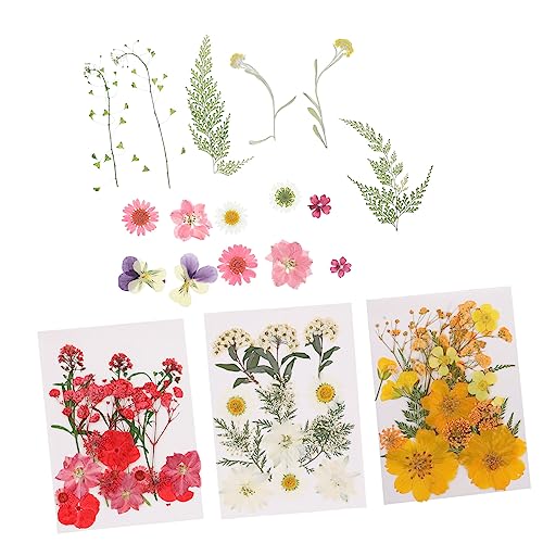 Angoily Presseblumen Beutel Getrocknete für DIY Dekorationen Bastelmaterialien für Nagelkunst Schmuck Handyhüllen und Mehr Natürliche Romantische Farben für Projekte von Angoily