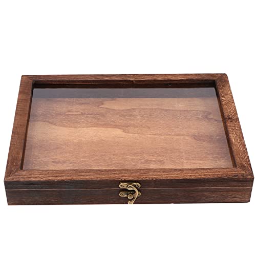 Angoily Vitrine Box Sammelbox Mit Durchsichtiger Oberseite Schmuckvitrine Naturholz Mit Glasplatte Schattenbox-Kit Entomologie-Zubehör Zum Sammeln Von Schmetterlingsproben von Angoily