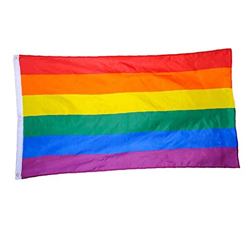 Angoter Polyester Regenbogen-Flagge Große LGBT Stolz-Flagge Außen Banner 60 * 90cm von Angoter