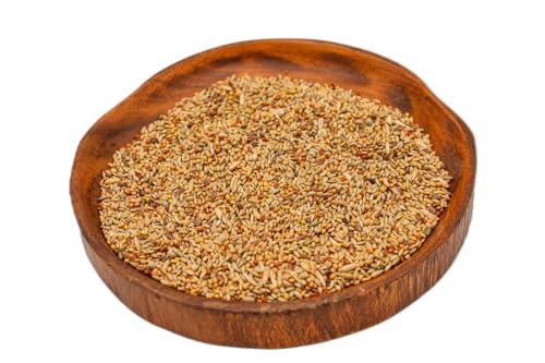 Anhaltiner Kanarienfutter ohne Rübsen 1 kg Premium-Mischfutter für Kanarien Vogelfutter von Anhaltiner Premiumfutter Der Futterspezialist