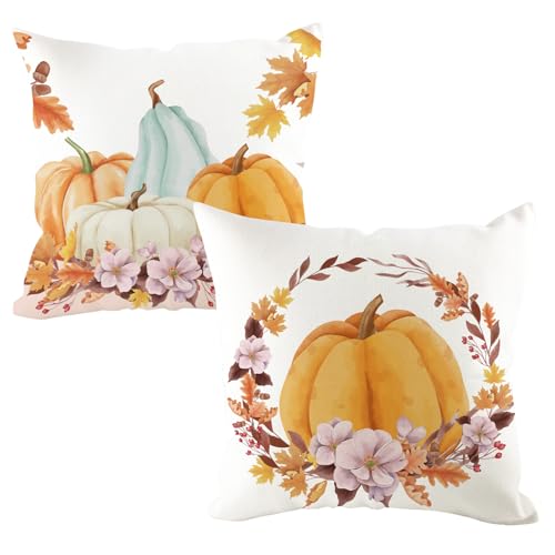 Anicy Kissenbezug Kürbis Herbst - 2er Kissenhülle Herbst Deko 45x45 cm für Herbstdeko Bauernhaus Thanksgiving Halloween Bettwäsche Wohnzimmer Herbst Dekoration Anicy Kissenbezug Kürbis Herbst - 2er Kissenhülle Herbst Deko 45x45 cm für Herbstdeko Bauernhaus Thanksgiving Halloween Bettwäsche Wohnzimmer Herbst Dekoration von Anicy