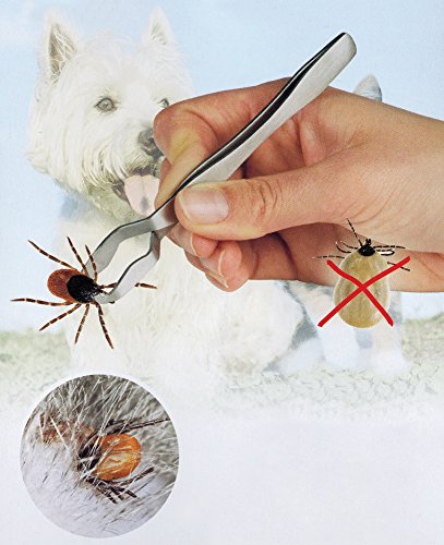 ZECKENGREIFER 13cm Edelstahl Pinzette Zeckenzange Zeckenpinzette Zeckenentfernung Zecken Zange Hunde Katze Mensch 07 von Society of One Heaven