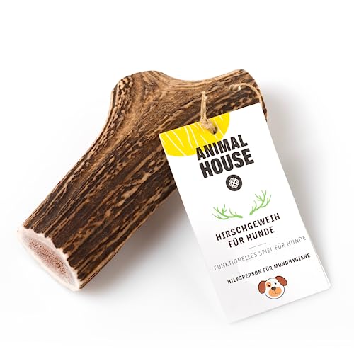 Animal House - Hirschgeweih für Hunde - Kauartikel 100% Natur - Verbessert die Mundhygiene - Widerstandsfähig und langlebig (XL 1ST) von Animal House