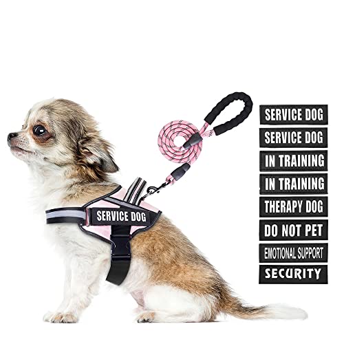 Service Dog Vest Harness and Leash Set, Animire in Training, Hundegeschirr mit 10 Hundeflicken, reflektierende Hundeleine mit weich gepolstertem Griff für kleine, mittelgroße, große und extra große Service Dog Vest Harness and Leash Set, Animire in Training, Hundegeschirr mit 10 Hundeflicken, reflektierende Hundeleine mit weich gepolstertem Griff für kleine, mittelgroße, große und extra große von Animire