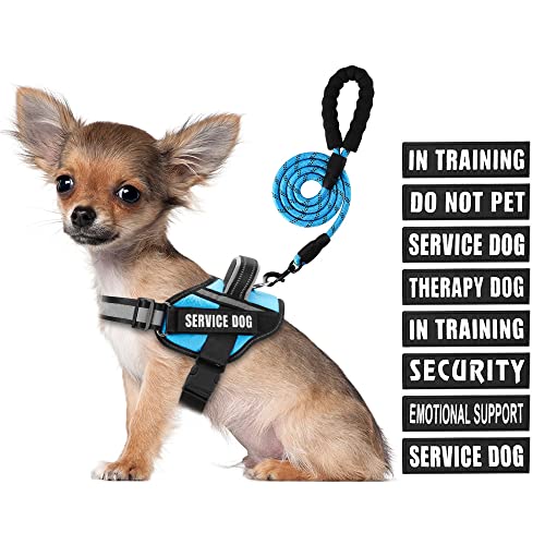 Service Dog Vest Harness and Leash Set, Animire in Training, Hundegeschirr mit 10 Hundeflicken, reflektierende Hundeleine mit weich gepolstertem Griff für kleine, mittelgroße und große Hunde von Animire