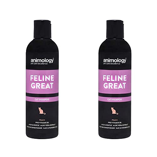 Animology Feline Great Cat Shampoo - Für sauberes und gesundes Fell - 250 ml Katzenshampoo mit Pfirsichduft - Hautfreundliche, innovative Formel - Mildes und sanftes Katzenpflegeshampoo 2er Pack von Animology