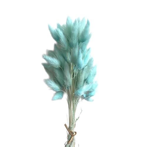 Aniyan 50 Stück Kaninchenschwanzgras Getrocknet Trockenblumen, Flauschige Bunny Tails Strauß, Lagurus Trockenblumen Deko für Vase Hochzeit Boho Wohnzimmer Tischdeko (Hellseeblau) von Aniyan