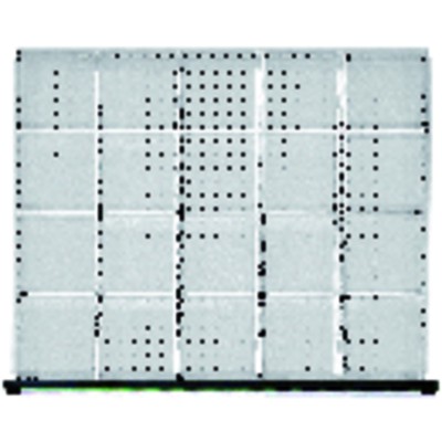 Schubladeneinteilungsmaterial für Serie VX + 902.320 Schubladeneinteilungsmaterial für Serie VX + 902.320 von Anke