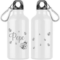 Trinkflasche Personalisiert Mit Namen Kindergarten Flasche Karabiner Aluminium 400Ml Geschenk Taufe Geburtstag Schule Sport Marienkäfer von AnkeskreativeSuite