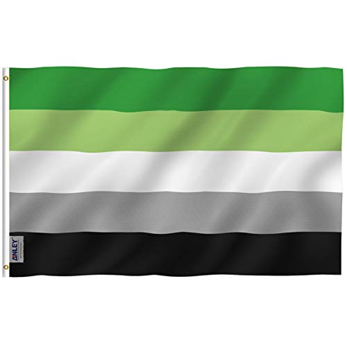 Anley Fly Breeze 3x5 Fuß Aromantic Pride Flagge - Lebendige Farbe und UV-Lichtechtheit - Leinwandkopf und doppelt genäht - Aromantic Pride Flagge mit Messingösen 3 x 5 Ft von Anley