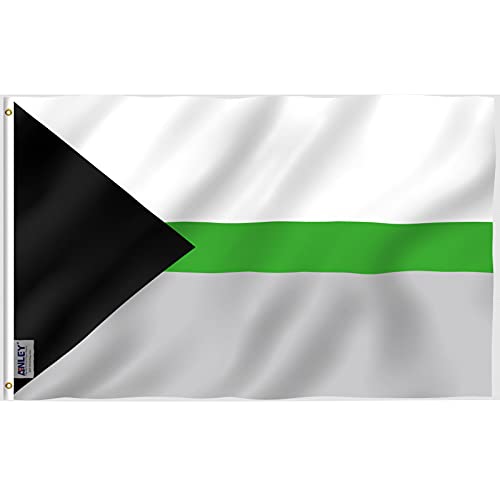 Anley Fly Breeze 3x5 Fuß Demiromantic Pride Flag - Lebendige Farbe und Lichtschutz - Canvas Header und Doppelnähte -Demiromantic LGBT Flags Polyester mit Messingösen 3 X 5 Ft von Anley