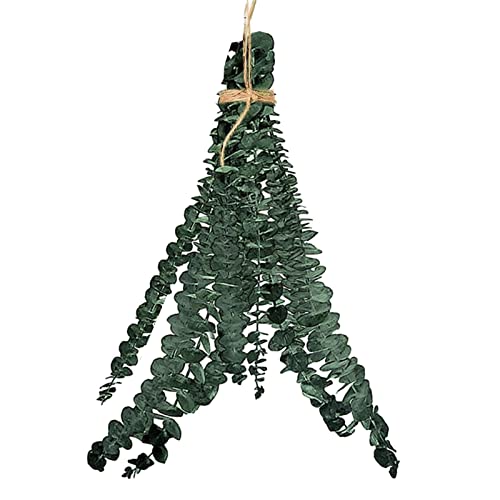 Anloximt 10Pack Eukalyptus Duschbündel Badezimmer Echter Eukalyptus Eukalyptuszweige Grüne Eukalyptuspflanze Eukalyptuspflanze für SPA Hochzeit Haus von Anloximt