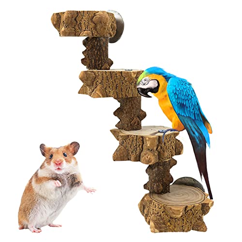 Anloximt 4 Lagen Vogeltreppe aus Papagei Sprungbrett Kletterleiter aus Hamsterleiter Hamsterkletterspielzeug Vogel Stehaufmännchen Kauspielzeug Kleintiertreppen Anloximt 4 Lagen Vogeltreppe aus Papagei Sprungbrett Kletterleiter aus Hamsterleiter Hamsterkletterspielzeug Vogel Stehaufmännchen Kauspielzeug Kleintiertreppen von Anloximt