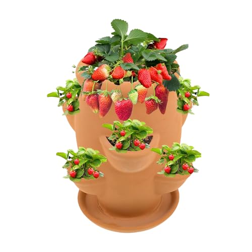 Anloximt Erdbeer-Pflanztopf,Vertikaler Tontopf Für Erdbeeren | Terrakotta Blumentopf Mit Drainage Für Garten Balkon Terrasse Anloximt Erdbeer-Pflanztopf,Vertikaler Tontopf Für Erdbeeren | Terrakotta Blumentopf Mit Drainage Für Garten Balkon Terrasse von Anloximt