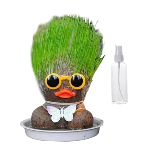 Anloximt Graskopf Graskopf Puppe Spielzeug Bonsai Kopf Wachsender Graskopf Bonsai Gras Kopf Figure Puppen Lustige Büro Garten Dekoration Liefert Kinder Handwerk Anloximt Graskopf Graskopf Puppe Spielzeug Bonsai Kopf Wachsender Graskopf Bonsai Gras Kopf Figure Puppen Lustige Büro Garten Dekoration Liefert Kinder Handwerk von Anloximt