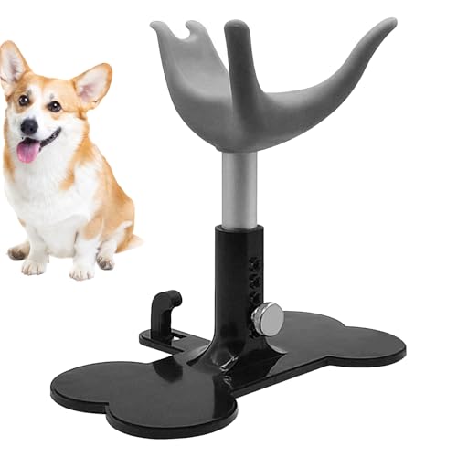 Anloximt Hundepflegestuhl - Duschleiter Für Welpen - Höhenverstellbare Assistenzleiter Zum Baden Trimmen Duschen Und Pflegen Von Hunden Anloximt Hundepflegestuhl - Duschleiter Für Welpen - Höhenverstellbare Assistenzleiter Zum Baden Trimmen Duschen Und Pflegen Von Hunden von Anloximt