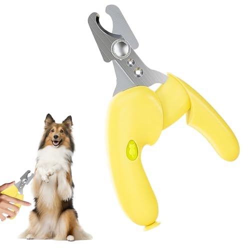 Anloximt Katzen Krallen Clipper | Welpenkrallenpflege-Set Mit Feile - Präzise Tierpflege-Set Für Katzenbabys, Erwachsene, Familie Und Freunde Anloximt Katzen Krallen Clipper | Welpenkrallenpflege-Set Mit Feile - Präzise Tierpflege-Set Für Katzenbabys, Erwachsene, Familie Und Freunde von Anloximt