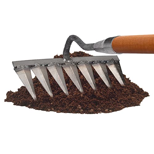 Anloximt Vertikutierer Carbon Garten Handharke Vertikutierharke Gartenwerkzeug Hacke Kultivator Unkraut Metallkopf Harke Werkzeug zum Lösen Sammeln von Laub Nivellierung Rasen Farming Land von Anloximt