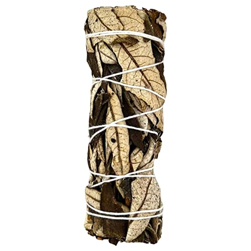 Räucherstäbchen,Yerba Santa Stick Mini | 4 '' Lange Yerba Santa Smudge Sticks mit leichtem Aroma für die Reinigung zu Hause Anloximt von Anloximt