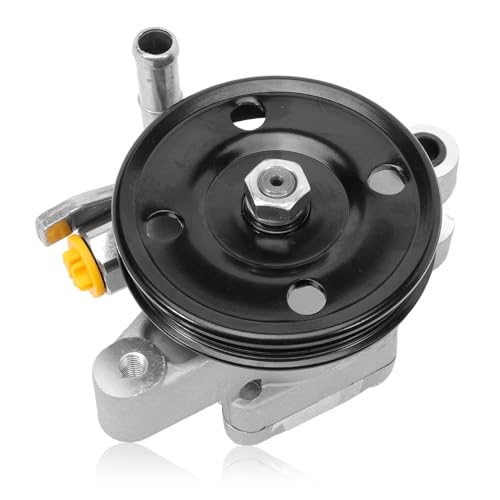 Anlseiod Servopumpe Kompatibel mit Hyundai Tucson JM 2.0L 2004-2010 KIA Sportage JE 2.0L 2004-2009 Hydraulikpumpe Lenkung Servopumpe# 571002E000 57100-2E000 571002F151 von Anlseiod