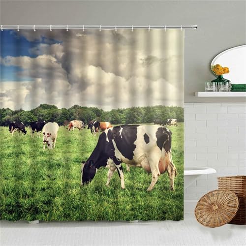 Duschvorhang W160cm x L180cm Kühe Duschrollo Anti-Schimmel Wasserdicht Duschvorhänge 3D Outdoor Vorhang Waschbar,Schnell Trocknend Textil Polyester,Lange Badezimmer Gardinen mit 12 Haken M-1270 von Anmiong