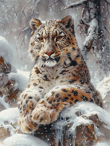 Schnee Malen Nach Zahlen Erwachsene Groß 50x70cm, Malen Nach Zahlen Leopard, Kreativ Set für Erwachsene, DIY Handgemalt Ölgemälde Leinwand Kit mit 3 Set Pinseln Acrylfarben, Home Wand Dekor, Rahmenlos Schnee Malen Nach Zahlen Erwachsene Groß 50x70cm, Malen Nach Zahlen Leopard, Kreativ Set für Erwachsene, DIY Handgemalt Ölgemälde Leinwand Kit mit 3 Set Pinseln Acrylfarben, Home Wand Dekor, Rahmenlos von Anmiong