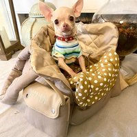 Beige Grau Designer Hundetragetasche Für Kleine Hundetasche Welpentasche Geburtstag Baumwolle Hundebett Kleine von AnnaHappydog