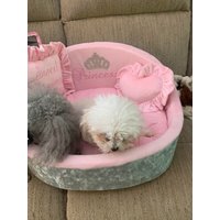 Grauer Samt Und Baby Rosa Hundebett Personalisiert Designer Haustierbett Katzenbett Luxus Geburtstag Hund Prinz von AnnaHappydog