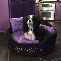 Lila & Schwarz Prinzessin Hundebett Haustierbett Mit Kissen Lila & Schwarz Prinzessin Hundebett Haustierbett Mit Kissen von AnnaHappydog