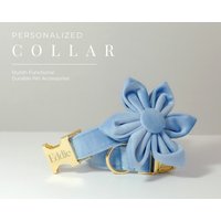 Blaues Personalisiertes Hundehalsband Blume, Dickes Samt-Hundehalsband Hochzeit, Luxus-Hundehalsband Für Kleine Hunde, Graviertes Halsband Mit Namen von AnnaPawCo