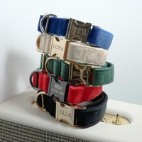 Hundehalsband Personalisiert Mit Namen, Hundehochzeitskleid, Luxus Samt Halsband Geschenk Für Hundemama von AnnaPawCo