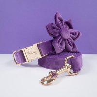 Lila Personalisiertes Hundehalsband Blumen, Dickes Samt-Hundehalsband Hochzeit, Luxus-Haustier-Welpen-Halsband Für Kleine Hunde, Halsband Mit Name von AnnaPawCo