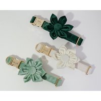 Mehrfarbiges Hundehalsband Blume, Weißes Hundehochzeitshalsband, Designer-Hundehochzeitskleid, Weihnachtsgeschenk Für Junge Hund von AnnaPawCo