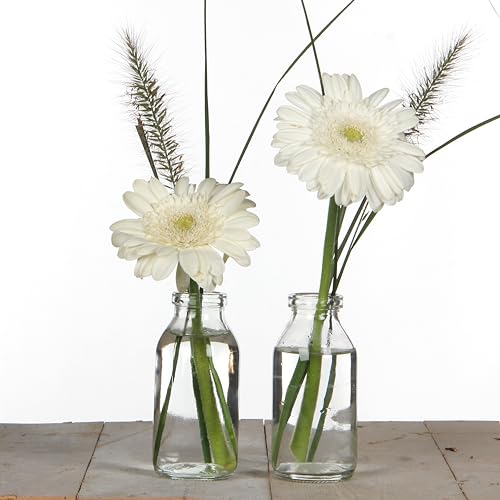 12 x Fläschchen aus Glas H 10,5 cm - Glasflaschen - Flaschen aus Glas - Vasen -ideal als kleine Vase für Ihre Tischdeko von Annastore