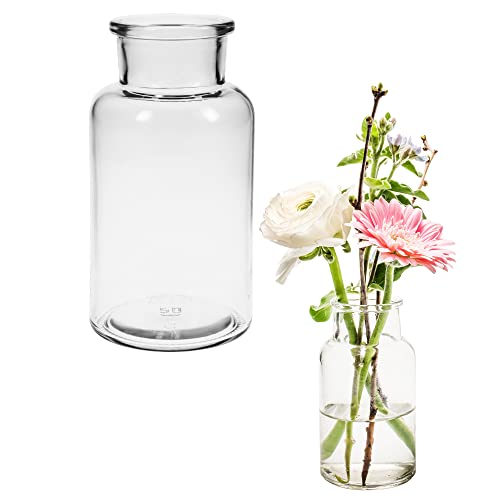 12 x Glasflaschen - Dekoglas - Apothekerflaschen - Deko-Glas Glasvasen Vasen Dekoflaschen Fläschchen Gewürzgläser (12 Glasflaschen H 12,5 cm) von Annastore