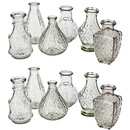 12 x Vasen aus Glas Dekovasen Glasvasen Dekogläser Deko Glas Vintage Glasflaschen Größe 12-14 cm/ 12 St. / 6 Modelle von Annastore