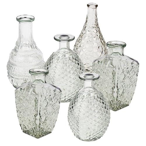 12 x Vasen aus Glas Dekovasen Glasvasen Dekogläser Deko Glas Vintage Glasflaschen Größe 14,8-20 cm/ 12 St. / 4 Modelle von Annastore