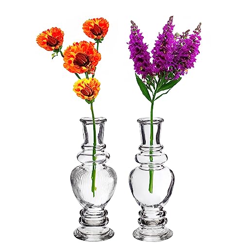 12 x Vasen aus Glas für eine stilvolle Tischdeko - Glasvasen Hochzeit - Blumenvase Vintage - Tischvase für Festlichkeiten - Kleine preiswerte Vasen aus Glas (Venezia groß (H 15,5 - Ø 5,7 cm)) von Annastore