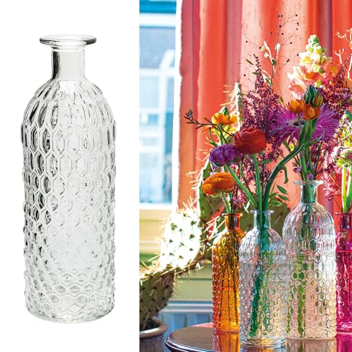 12 x Vasen aus Glas im Vintage-Look H 20 - Glasflaschen Deko Vasen Glasvasen Blumenvasen Flaschen Deko-Flaschen Größe H 20 cm 12 x Vasen aus Glas im Vintage-Look H 20 - Glasflaschen Deko Vasen Glasvasen Blumenvasen Flaschen Deko-Flaschen Größe H 20 cm von Annastore