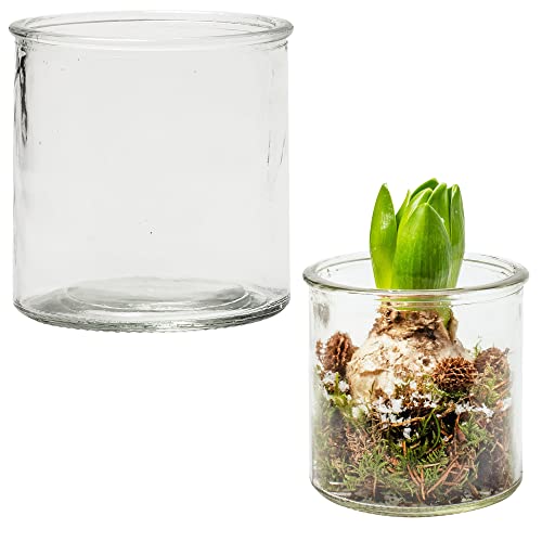 12 x Windlichter in klassischer Zylinderform - Zylinderglas Teelichthalter Kerzengläser Glaszylinder Pflanzglas - Runde Kerzengläser- Gläser für Kerzen Giessen - Kerzenglas - 10 x 10 cm 12 x Windlichter in klassischer Zylinderform - Zylinderglas Teelichthalter Kerzengläser Glaszylinder Pflanzglas - Runde Kerzengläser- Gläser für Kerzen Giessen - Kerzenglas - 10 x 10 cm von Annastore