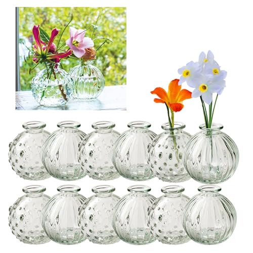 12 x kleine Vasen aus Glas Vintage – Blumenvasen Tischvasen Glasvasen Dekoflaschen Glasflaschen Glasfläschchen Deko-Flaschen< Farbe Modell 5 12 x kleine Vasen aus Glas Vintage – Blumenvasen Tischvasen Glasvasen Dekoflaschen Glasflaschen Glasfläschchen Deko-Flaschen< Farbe Modell 5 von Annastore