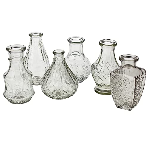 6 TLG. Set Vasen aus Glas im Vintage Look H 12-14 cm - in Zwei Größen erhältlich - Tischvasen Shabby Chic - Blumenvasen - Glasvasen klein - Vasen Tischdeko Größe 6 x (H 12-14 cm) von Annastore