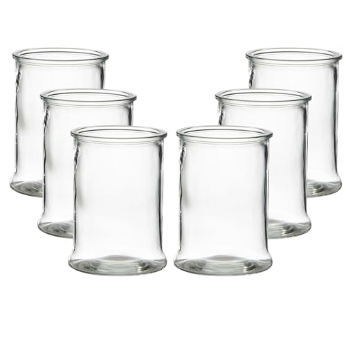 6 x Windlicht aus Glas in Zylinderform - H 17 cm - Ø 13 cm - Glas Windlicht - Blumenvase - Tischvase - Pflanzglas - Garten im Glas - Vase von Annastore