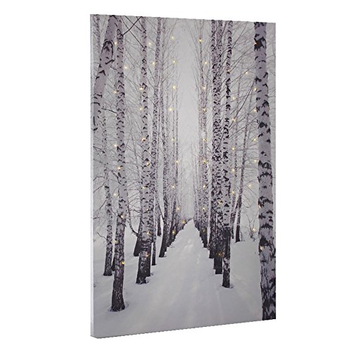 Annastore Bild Birkenallee im Schnee mit 60 Mikro-LED´s, 40 x 60 cm Leuchtbild von Annastore