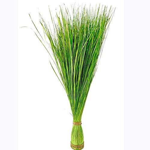 Annastore Dekogras H 85 cm oder H 105 cm- getrocknetes echtes Gras (H 105 cm) Grasbusch Grasdeko von Annastore