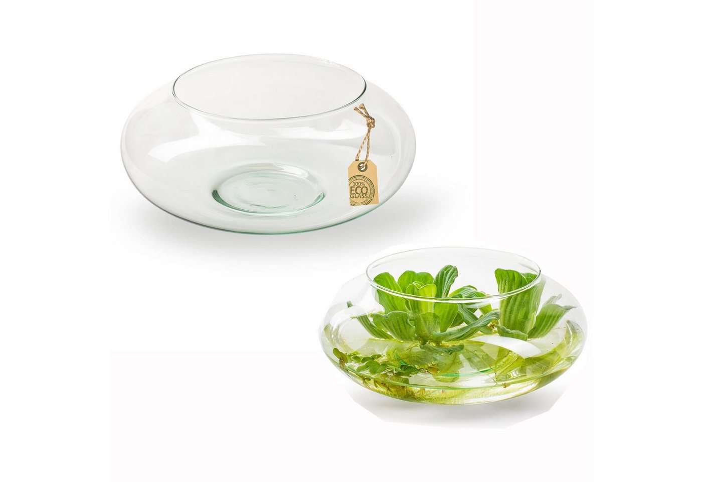 Annastore Dekoschale Glasschale für Dekorationen Dekoschale aus Glas Blumenschale Annastore Dekoschale Glasschale für Dekorationen Dekoschale aus Glas Blumenschale von Annastore